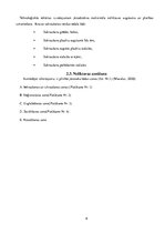 Referāts 'Noliktavas platību organizēšana', 9.