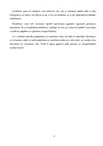 Referāts 'Noliktavas platību organizēšana', 11.