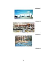 Referāts 'Noliktavas platību organizēšana', 15.