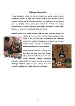 Referāts 'Vikingi', 5.