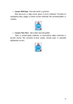 Konspekts 'Koka apdares lakas', 13.