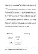 Referāts 'Prezidentālā un parlamentārā republika', 5.