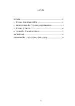 Referāts 'Tiesnešu profesionālā ētika', 2.