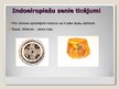 Prezentācija 'Seno baltu kultūras veidošanās', 8.