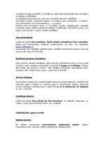 Referāts 'Sporta veidi', 2.