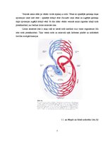 Diplomdarbs 'Diagnostika un profilakse podoloģijas praksē pacientiem ar asinsrites traucējumi', 7.