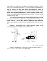 Diplomdarbs 'Diagnostika un profilakse podoloģijas praksē pacientiem ar asinsrites traucējumi', 15.
