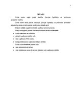 Prakses atskaite 'Prakses atskaite vadības zinībās', 3.