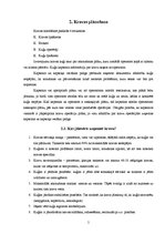 Referāts 'Kravas izvietošanas metodes kuģos', 5.