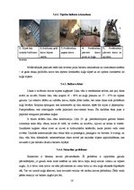 Referāts 'Kravas izvietošanas metodes kuģos', 16.