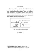 Referāts 'Poligrāfiskais darbs', 7.