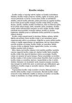 Referāts 'Sports ģimenē', 6.