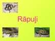 Prezentācija 'Rāpuļi', 1.