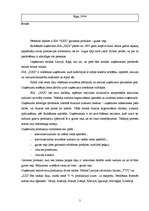 Referāts 'Produkta pētījums', 2.