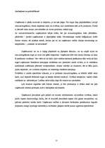 Referāts 'Produkta pētījums', 13.