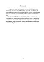 Referāts 'Elektroenerģijas racionāla izmantošana', 17.