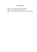 Referāts 'Ekrānu izraisītā bērnu agresija', 11.