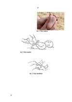 Konspekts 'Bērnu masāža', 19.