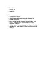 Prezentācija 'Sirreālisms', 10.