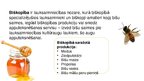 Prezentācija 'Bioekonomikas nozares pētījums. Biškopība', 2.