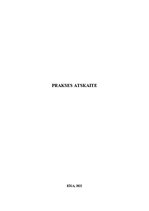 Prakses atskaite 'Prakses atskaite RIPO INTERNATIONAL', 1.