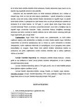 Referāts 'Biržas, to darbība Latvijā', 7.