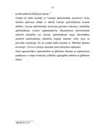 Referāts 'Ugunsdzēsība un ugunsdrošība', 12.