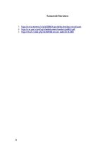 Prakses atskaite 'Grāmatvedība', 14.