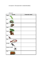 Konspekts 'Dzīvnieki rudenī. Dabaszinības 2.klasei', 8.