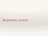 Prezentācija 'Respiratory System', 1.