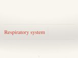 Prezentācija 'Respiratory System', 1.
