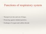 Prezentācija 'Respiratory System', 5.