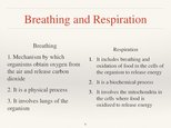Prezentācija 'Respiratory System', 6.
