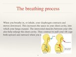 Prezentācija 'Respiratory System', 9.