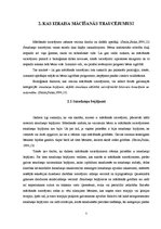 Referāts 'Mācīšanās traucējumi', 7.