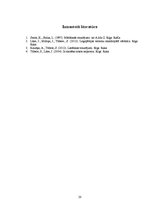 Referāts 'Mācīšanās traucējumi', 20.