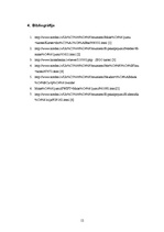 Referāts 'Maksājumu metodes internetā', 12.