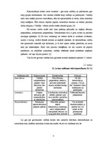 Referāts 'Vadības stili', 8.