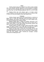 Konspekts 'Albatrosi', 11.