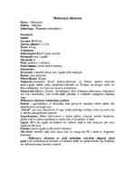 Konspekts 'Albatrosi', 12.