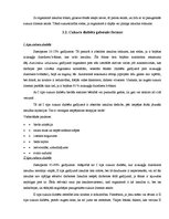 Referāts 'Pusaudži un cukura diabēts', 5.