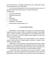 Referāts 'Pusaudži un cukura diabēts', 6.