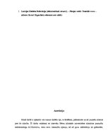 Referāts 'Pusaudži un cukura diabēts', 25.