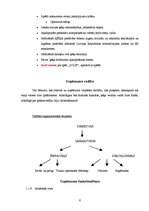 Biznesa plāns 'Krogs – restorāns "Šamaņa pasaka"', 6.