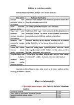 Biznesa plāns 'Krogs – restorāns "Šamaņa pasaka"', 14.