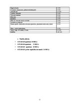 Biznesa plāns 'Krogs – restorāns "Šamaņa pasaka"', 15.