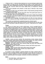 Referāts 'A.Bels "Būris"', 3.