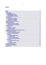 Referāts 'Maksātnespēja uzņēmumā un tās risinājuma veidi', 2.