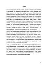 Referāts 'Demokrātiskā pāreja un tās problēmas Krievijā', 3.