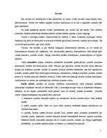 Referāts 'Mūsdienu jaunatnes leksikas īpatnības', 5.